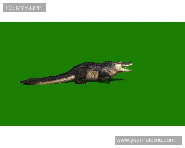 足球明星绿布素材图展示与创意设计灵感分享